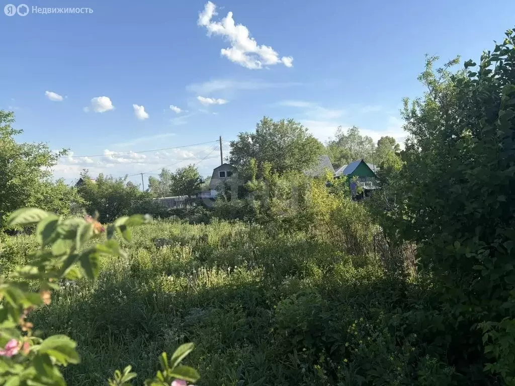 Участок в Отрадовский сельсовет, СНТ Машиностроитель-1 (4 м) - Фото 2