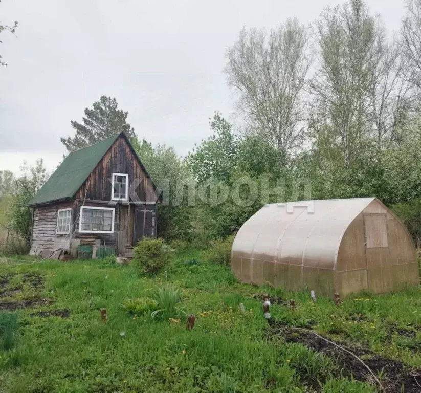 Участок в Новосибирская область, Мошковский район, Высота СНТ  (4.0 ... - Фото 1