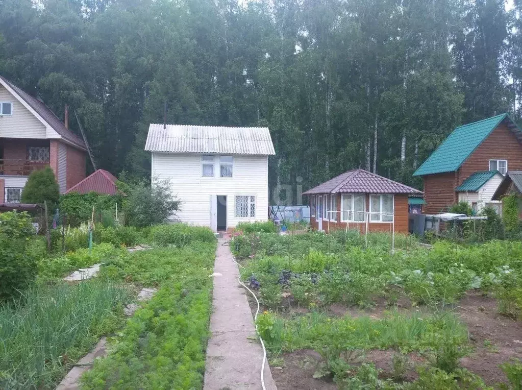 Дом в Новосибирская область, Бердск Радист садоводческое товарищество, ... - Фото 1