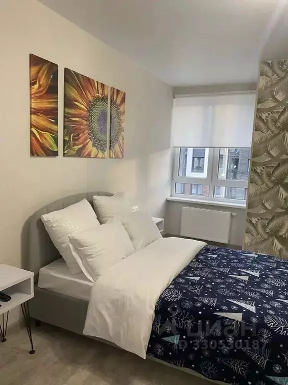 1-к кв. Московская область, Подольск городской округ, д. Борисовка ул. ... - Фото 1