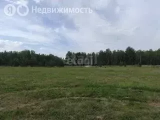 Участок в Челябинская область, Чебаркульский муниципальный округ, ... - Фото 2