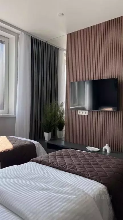 Студия Новосибирская область, Новосибирск ул. Кирова, 113/2 (20.0 м) - Фото 2