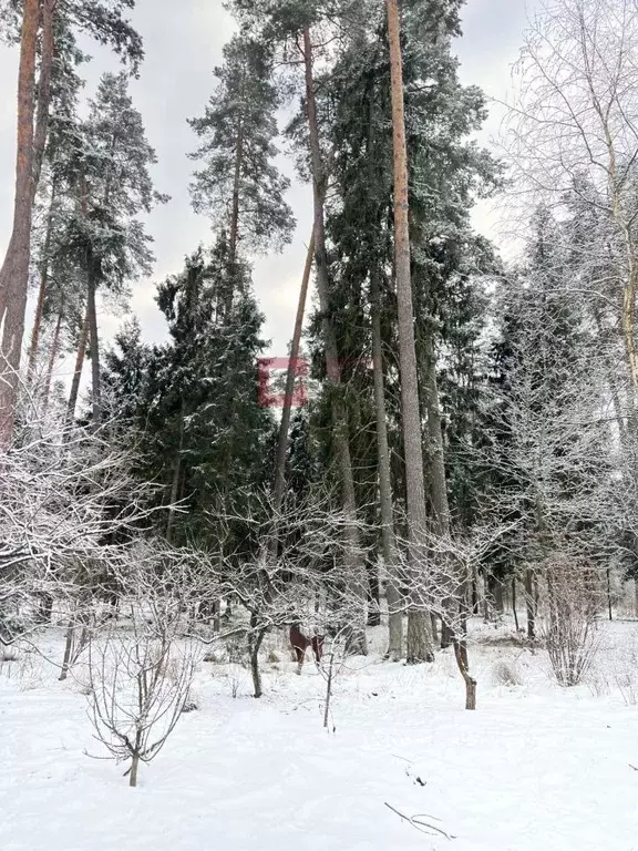 Участок в Московская область, Одинцовский городской округ, пос. Дома ... - Фото 0