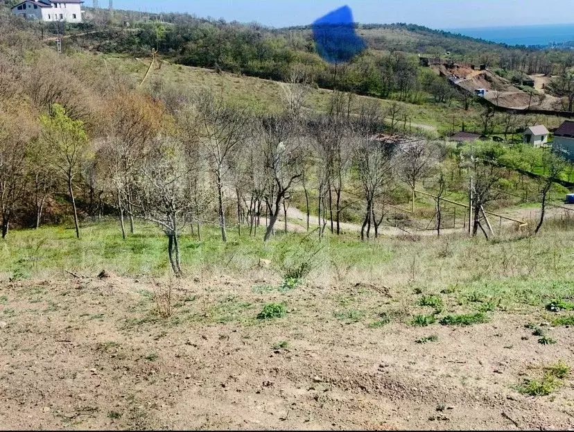 Участок в Крым, Алушта муниципальный округ, с. Лучистое ул. ... - Фото 1