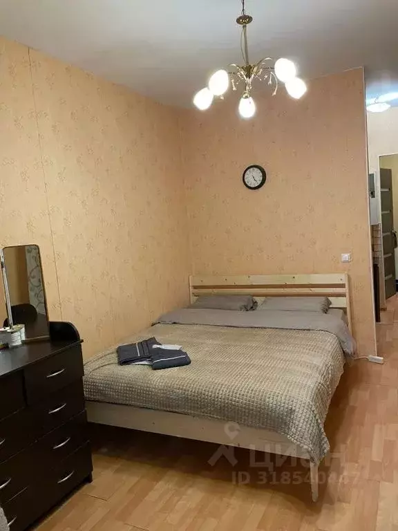 Студия Санкт-Петербург просп. Просвещения, 43 (28.0 м) - Фото 1