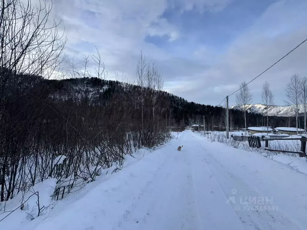 Участок в Алтай, Майминский район, Манжерокское с/пос, с. Озерное ул. ... - Фото 2