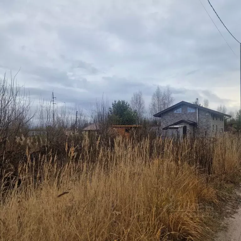 Участок в Пермский край, Добрянский муниципальный округ, д. Городище ... - Фото 1