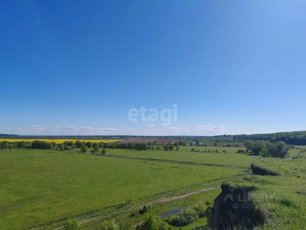 Участок в Калужская область, Перемышльский муниципальный округ, ... - Фото 2