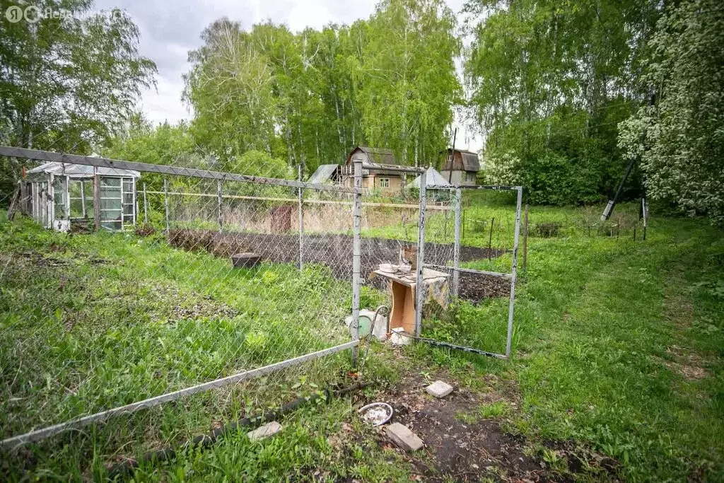 Участок в Бердск, садоводческое некоммерческое товарищество Луговое-1 ... - Фото 1