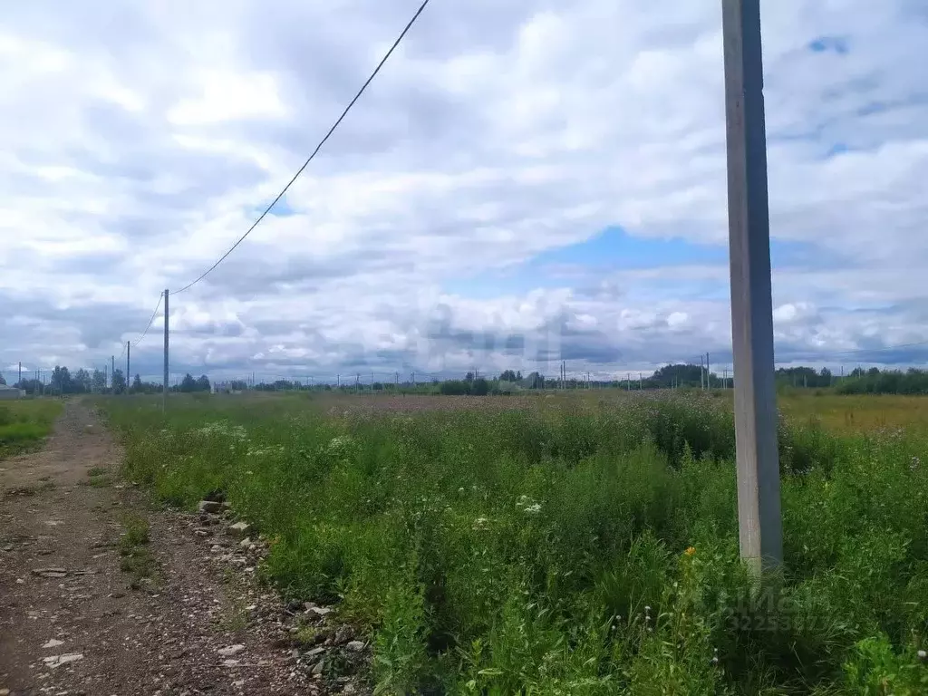 Участок в Костромская область, Кострома проезд Вохомский, 66 (6.96 ... - Фото 1
