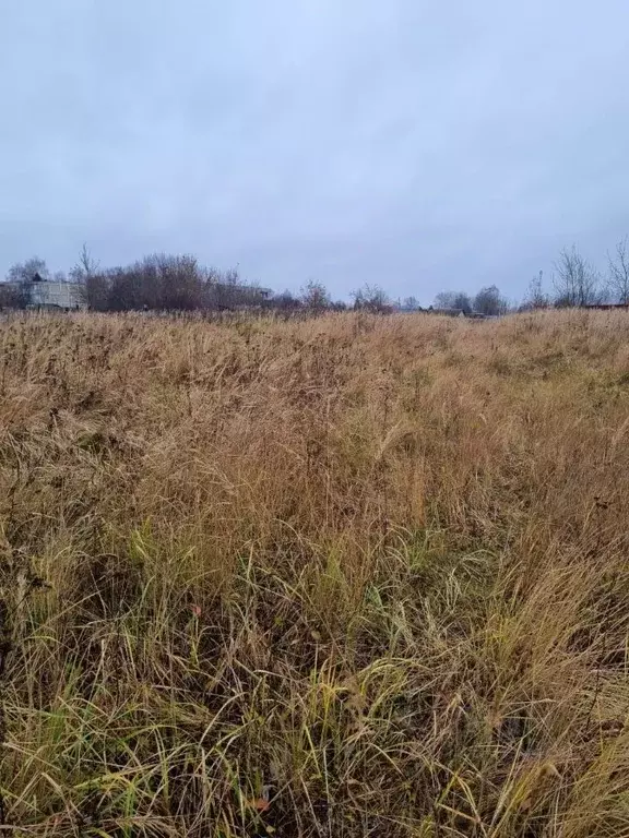 Участок в Московская область, Луховицы муниципальный округ, пос. ... - Фото 1