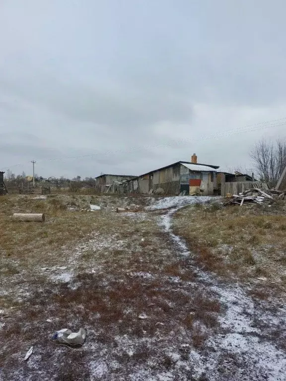 Участок в Орловская область, Мценский район, Подберезовское с/пос, ... - Фото 1