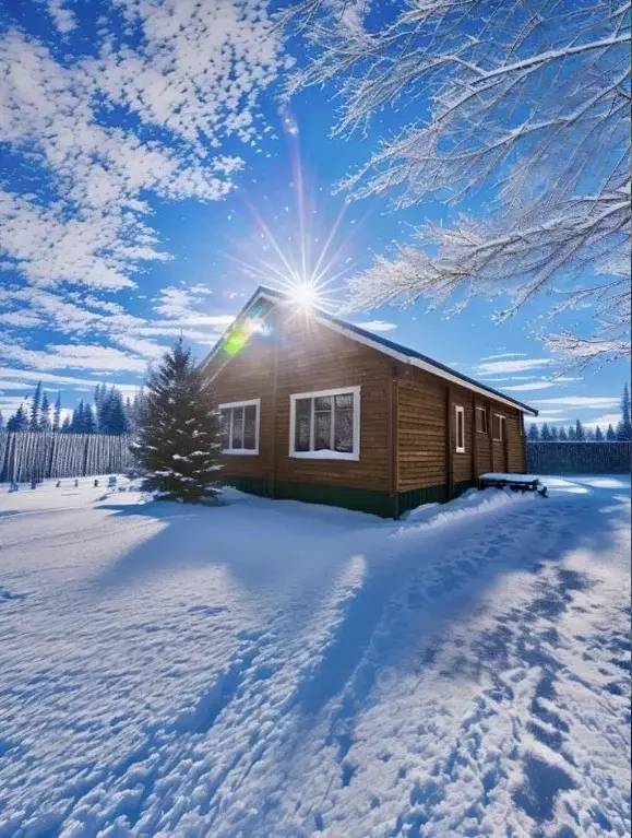 Дом в Иркутская область, Иркутский муниципальный округ, д. Карлук ул. ... - Фото 1