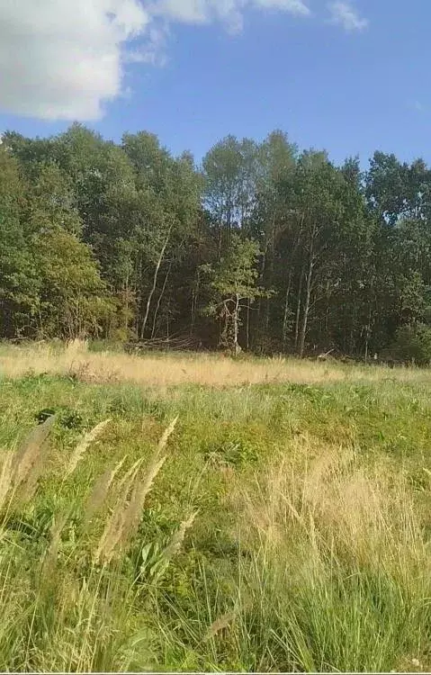 Участок в Калининградская область, Зеленоградский муниципальный округ, ... - Фото 2