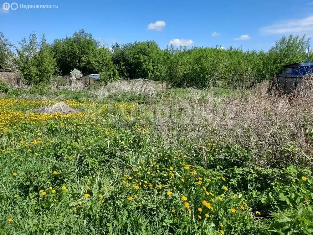 Участок в Новосибирск, Коуракская улица (11.3 м) - Фото 0