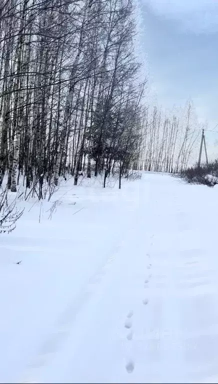 Участок в Нижегородская область, Сокольский муниципальный округ, д. ... - Фото 2