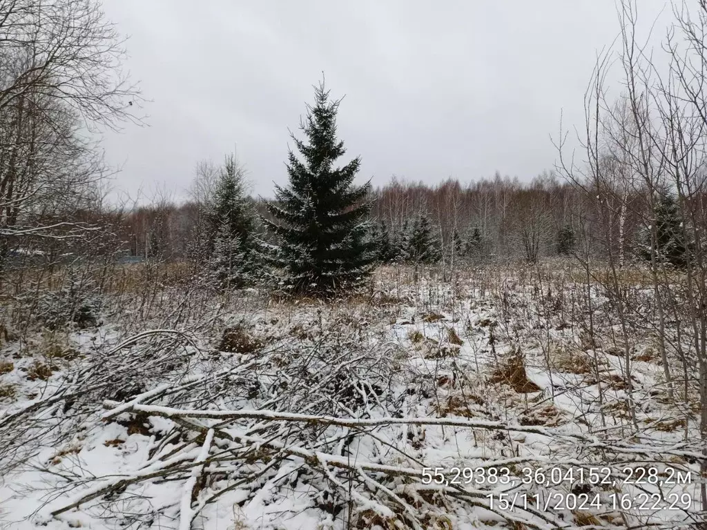 Участок в Московская область, Наро-Фоминский городской округ, д. ... - Фото 0