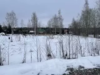 Участок в Ленинградская область, Ломоносовский район, Пениковское ... - Фото 0
