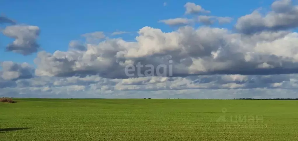 3-к кв. Смоленская область, Руднянский муниципальный округ, д. ... - Фото 1