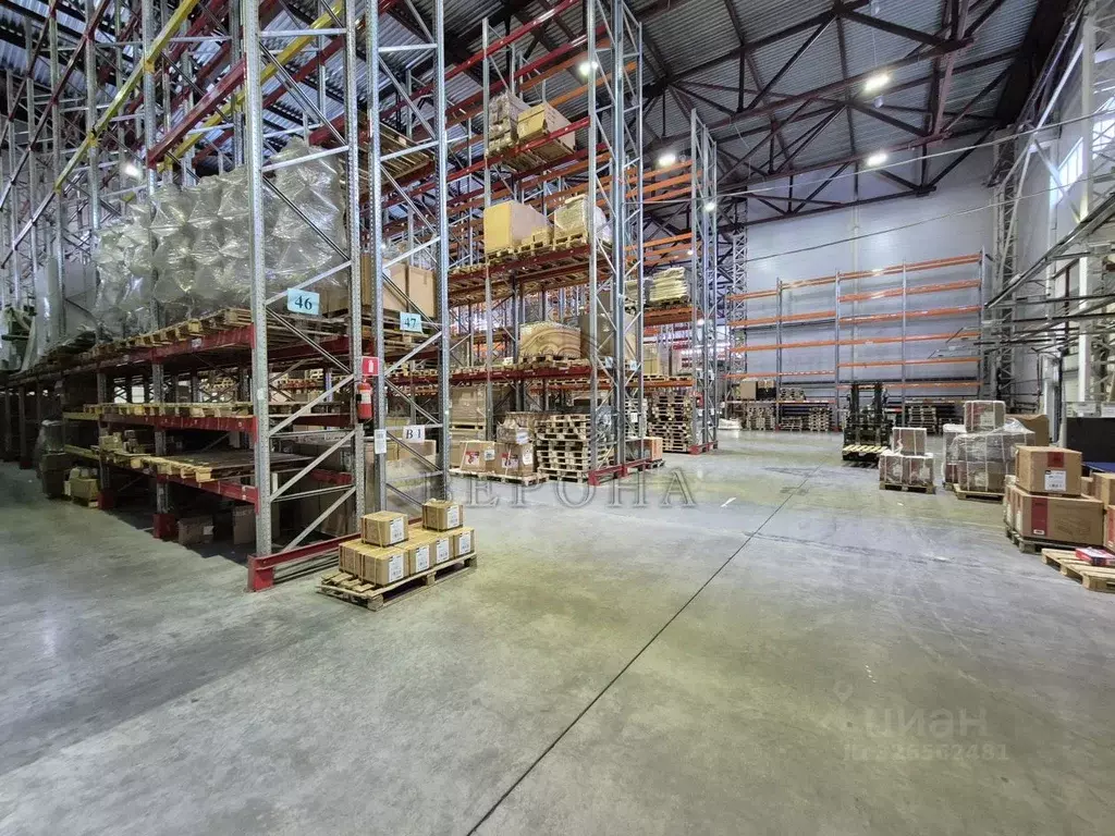 Склад в Московская область, Богородский городской округ, Обухово пгт, ... - Фото 1