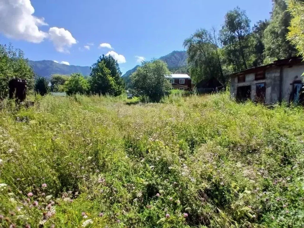 Участок в Алтай, Чемальский район, с. Чемал ул. Калинина, 1 (15.0 ... - Фото 1