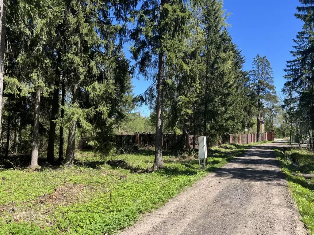 Участок в Московская область, Дмитровский муниципальный округ, ... - Фото 2