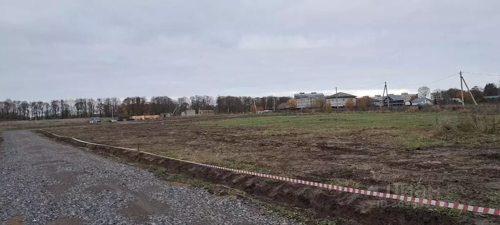 Участок в Ленинградская область, Ломоносовский район, Русско-Высоцкое ... - Фото 1