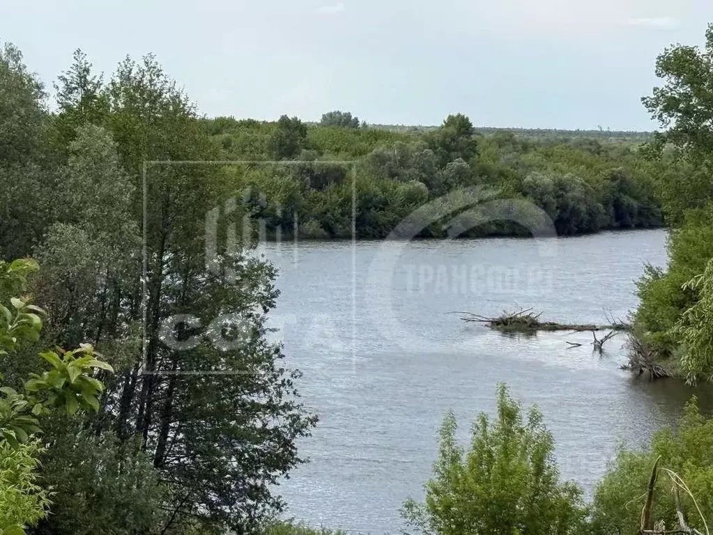 Участок в Воронежская область, Хохольский район, с. Борщево ул. 8 ... - Фото 0
