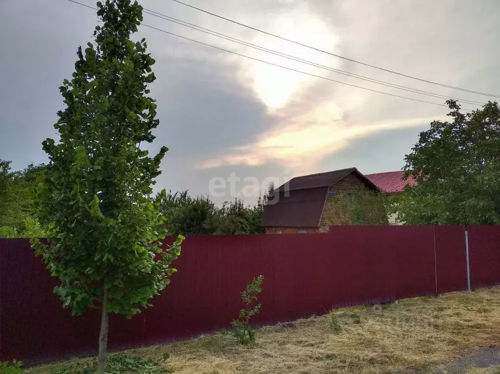 Участок в Белгородская область, Белгородский район, Дубовское с/пос, ... - Фото 1