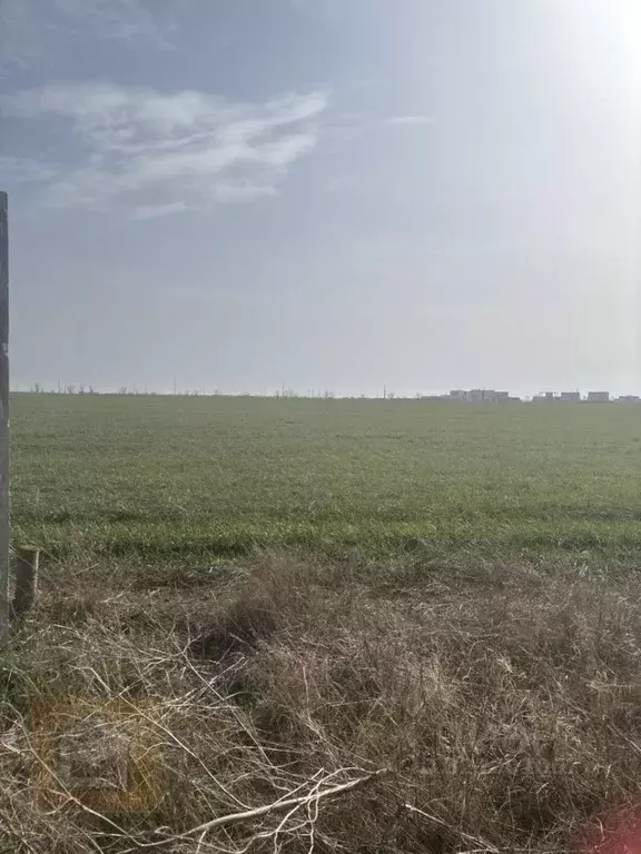 Участок в Крым, Сакский район, Молочненское с/пос, с. Витино  (5.07 ... - Фото 1