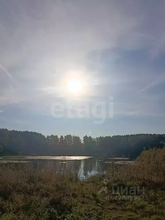 Участок в Ярославская область, Ярославский муниципальный округ, ... - Фото 1