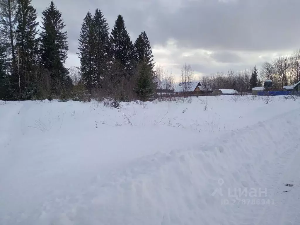 Участок в Пермский край, Пермский муниципальный округ, д. Березники  ... - Фото 1