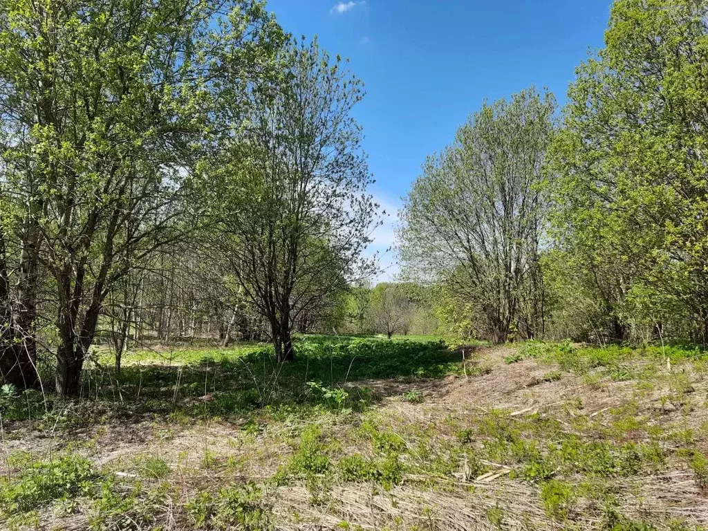 Участок в Московская область, Клин городской округ, д. Парфенькино  ... - Фото 2