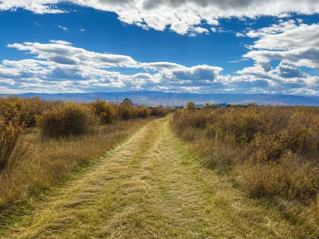 Участок в Тункинский район, село Жемчуг (40 м) - Фото 2