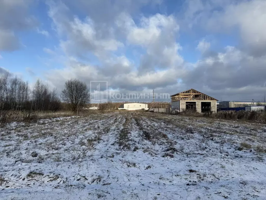 Участок в Владимирская область, Ковровский муниципальный округ, ... - Фото 1