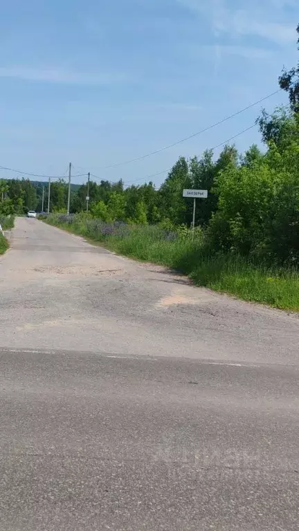 Участок в Нижегородская область, Богородский муниципальный округ, д. ... - Фото 2