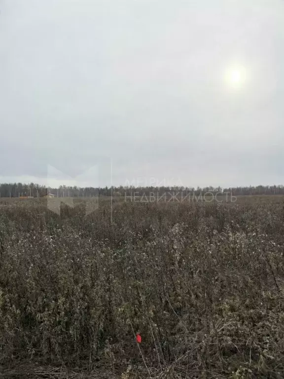 Участок в Тюменская область, Тюменский муниципальный округ, с. ... - Фото 1