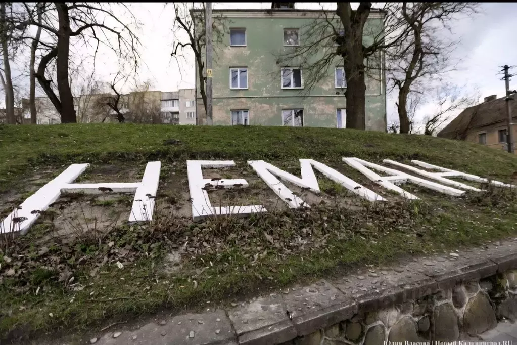 Офис в Калининградская область, Неман Школьная ул., 2 (49 м) - Фото 1