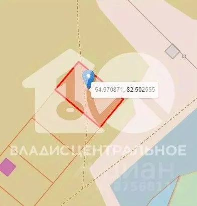 Участок в Новосибирская область, Коченевский район, с. Чистополье  ... - Фото 2
