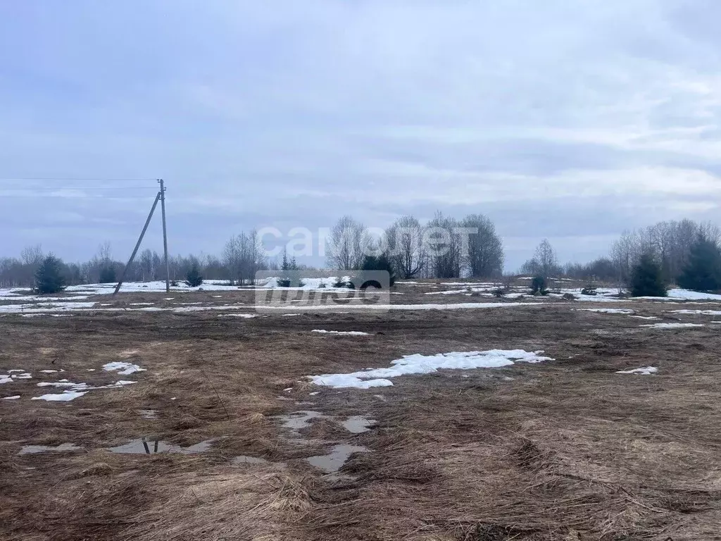 Участок в Вологодская область, д. Дюково  (20.1 сот.) - Фото 2
