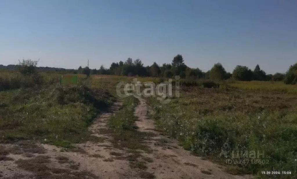 Участок в Калининградская область, Зеленоградск пос. Сосновка, ул. ... - Фото 2