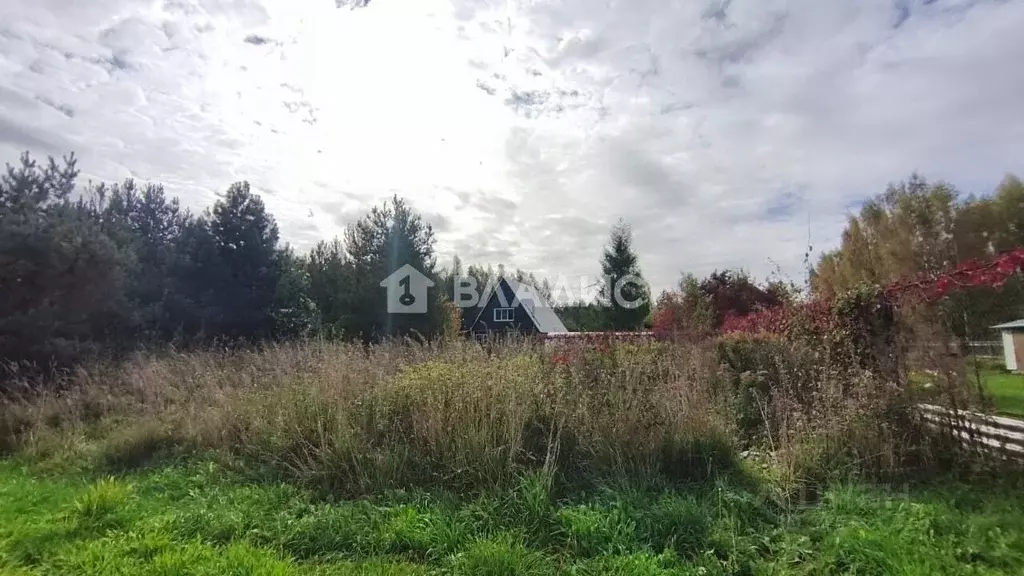 Участок в Владимирская область, Камешковский муниципальный округ, д. ... - Фото 1