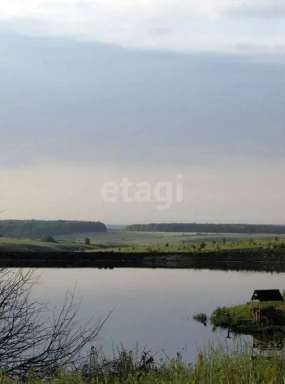 Участок в Рамонский район, Русскогвоздёвское сельское поселение, село ... - Фото 0