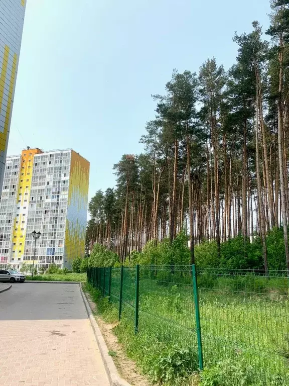 Студия Тверская область, Тверь ул. Фрунзе, 2к1 (28.0 м) - Фото 1