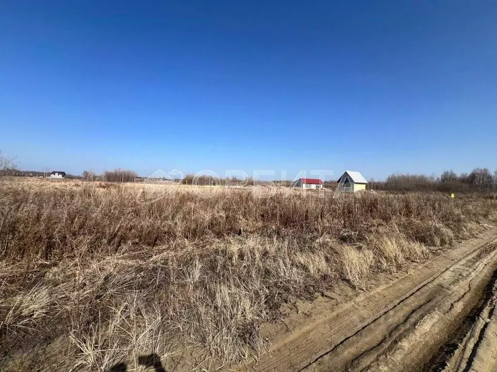 Участок в Тюменская область, Нижнетавдинский район, Душевное садовое ... - Фото 1