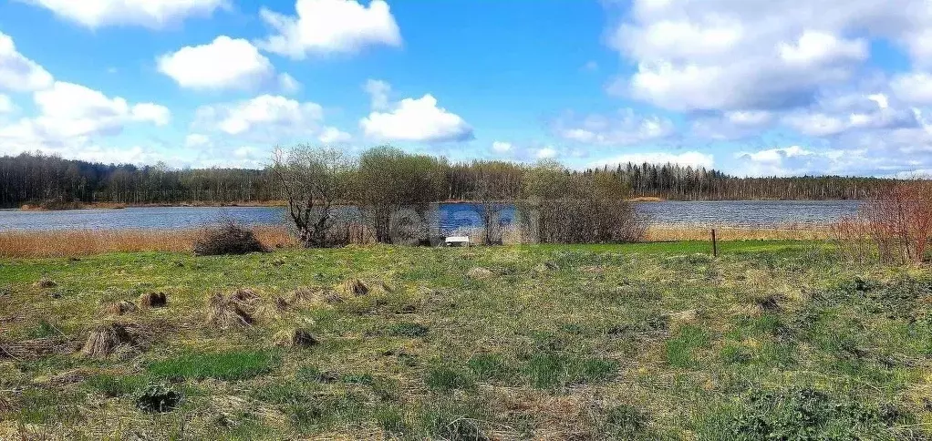 Участок в Вологодская область, Кирилловский муниципальный округ, д. ... - Фото 2