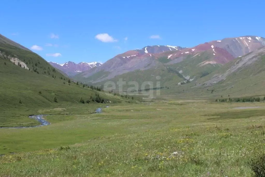 Участок в Алтай, Кош-Агачский район, Джазаторское с/пос, с. Беляши  ... - Фото 2
