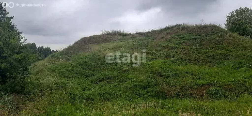 Участок в село Панфилово, Школьная улица (46.1 м) - Фото 1