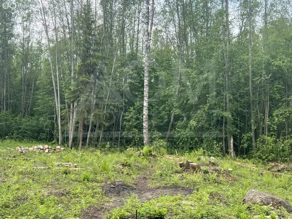 Участок в посёлок Ларионово, Ольховая улица (12 м) - Фото 0