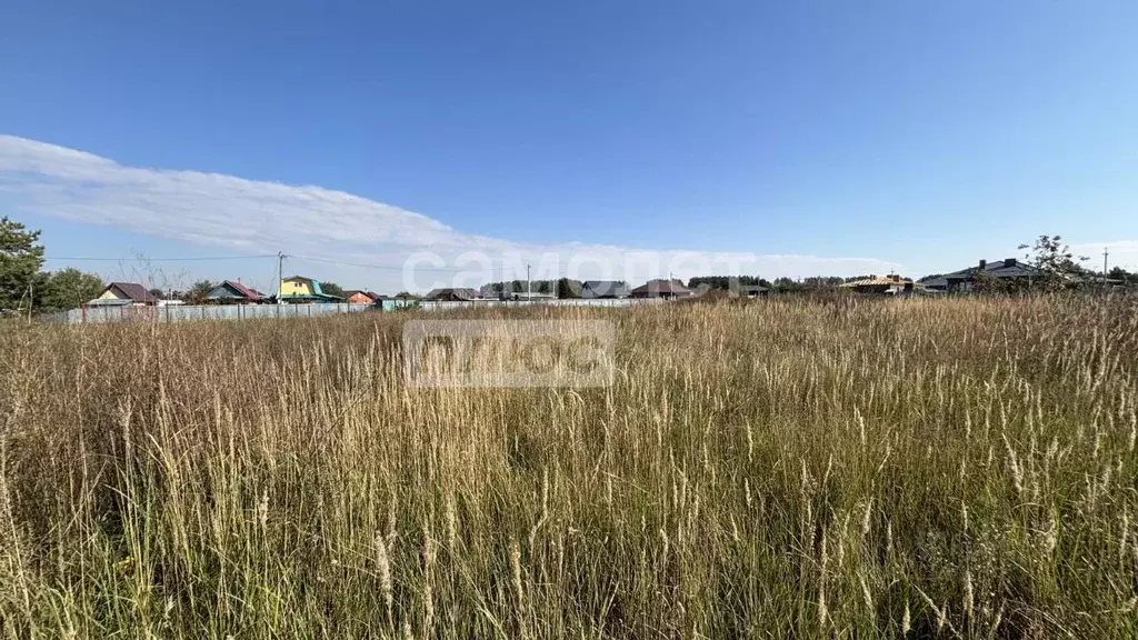 Участок в Татарстан, Нижнекамский район, Каенлинское с/пос, Борок СНТ  ... - Фото 2